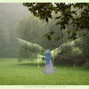 Pegasus_and_a_nymph_card