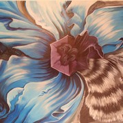Narciso_campionato_ad_artexpo_card