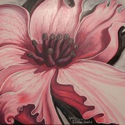 Umbellatus_scretch__70_100_card