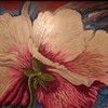 Peonia_bicroma_scretch_70_100ad_artexpo_thumb