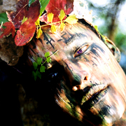 Forest_nymph_web_card