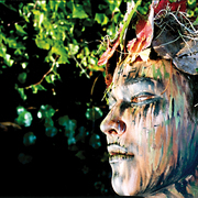Forest_nymph__side_view__web_card