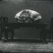 Dining-room_card