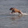 Dsc00108_thumb