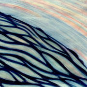 Coral_sea_curve_card