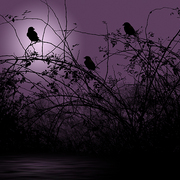 Evening_gathering_card