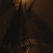 Pb140156moon___palm_editedzz_card