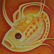 Magic_fish_card