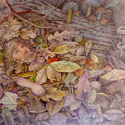 Tra_le_foglie__profumo_di_muschio_fiorecagnetti__card