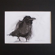 Grumpy_crow_card