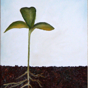 Bigsprout_card