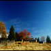 Pasture_square