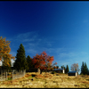 Pasture_thumb