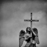 X_587631b2_card