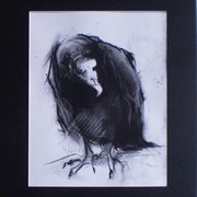 Birdie_no_2_card