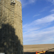 The_farm