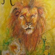 Img_2492_card