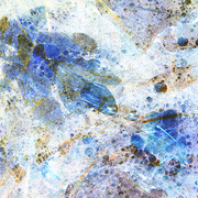 Blue_runnings_card