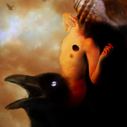 Fly_away_card