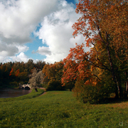 ____________069_card