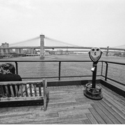 Ny______card