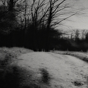 Sandy-road-01_card