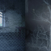 Randell_window_to_human_nature_thumb