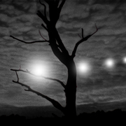 Nightriders-in-the-sky-02_card