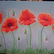 Papaver_card