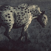 Mare_thumb