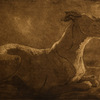 Gelert_thumb