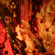 Dsc00306_card