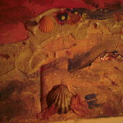 Dsc00313_card