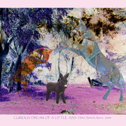 Curious_dream_of_a_little_ass_card