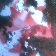 1019091339_card