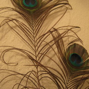 Img_1039_card
