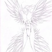 Wes1_card