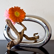 Ikebana-154_card