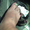 Fhre_thumb