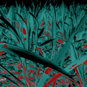 Bloody-night-02_card