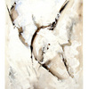 Immagine-013_low_thumb