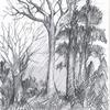 Copy_of_babond-tanduran_thumb