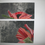 Diptic_card