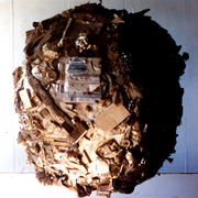 Disposable_world_card