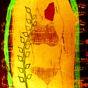 Bella_capriciosa_copie_card