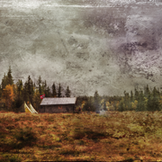Picture_2_card