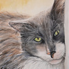 Purrfect_thumb