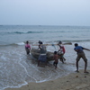 Dsc04356_thumb