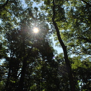 Camping_085_card