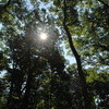 Camping_085_thumb